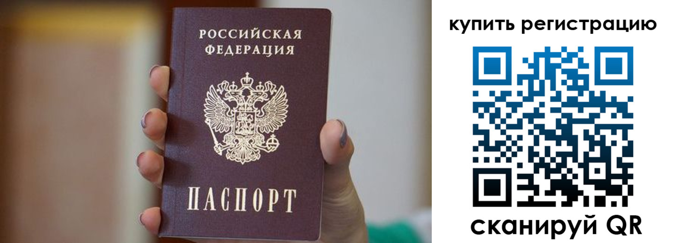 прописка в Светлограде